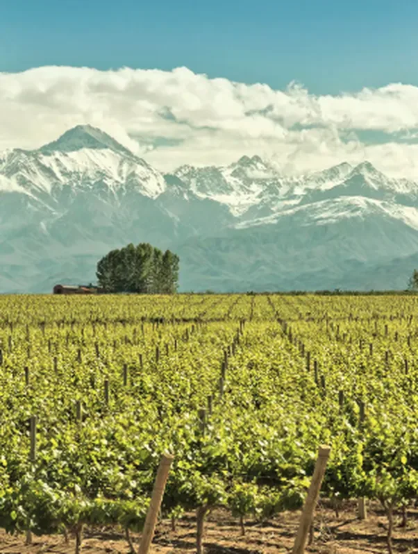 Foto do roteiro de Mendoza 8