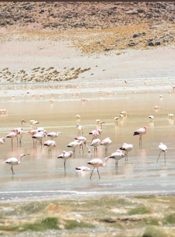 Foto do roteiro de Noroeste Argentino 6
